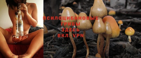 спайс Сатка