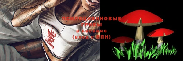 соль курить ск Алексин
